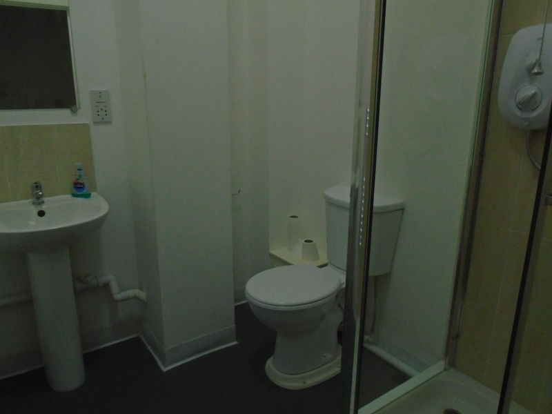 148 Stella Nova Lot 20 on 15/12/20 Venmore Auctions